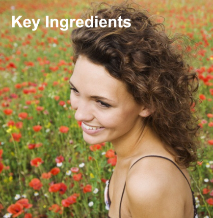 Key Ingredients